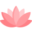 Lotus Icon